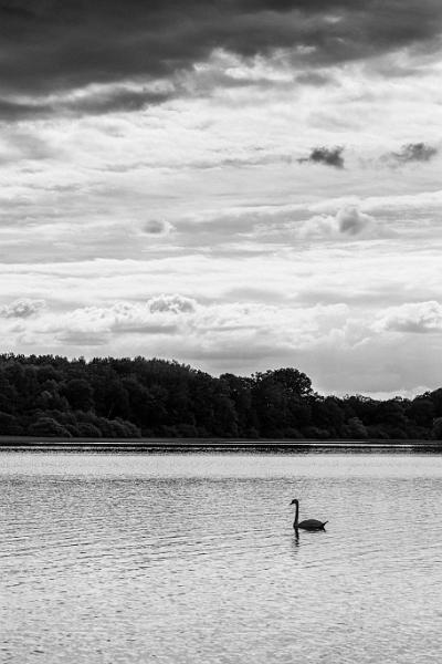 2019_05_26 _ Etang de Vaux(0070).jpg - Etang de Vaux (Mai 2019)